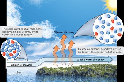 Charles's Law and wind currents