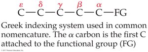 Greek indexing system for common nomenclature