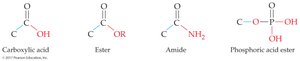 Structures of carboxylic acid, ester, amide, and phosphoric acid ester