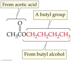 Structure of butyl acetate