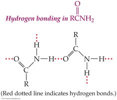 Hydrogen bonding in amides