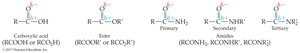 General structures of carboxylic acid, ester, and amide