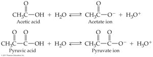 Acid dissociation of acetic and pyruvic acid