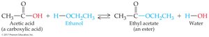 Esterification reaction: acetic acid and ethanol