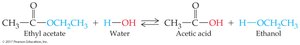 Hydrolysis of ethyl acetate