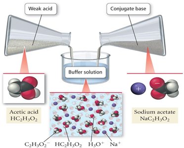 Buffer solution: acetic acid and sodium acetate