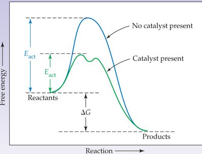 Water molecule showing polarity and electron distribution