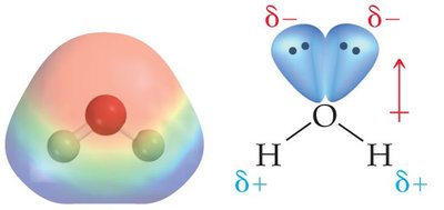 Structure of an atom showing nucleus and electron cloud