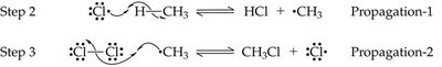 Propagation steps in halogenation