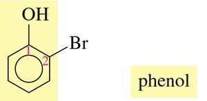 Step 2: Number the ring