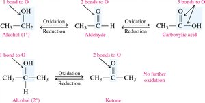Oxidation and reduction of alcohols