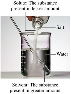 Solute and solvent example: salt in water