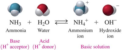Brønsted–Lowry acid-base reaction: NH3 and H2O