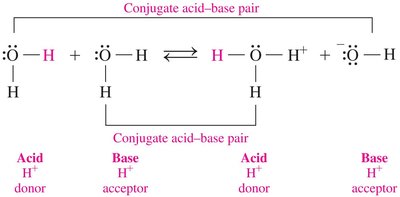 Conjugate acid-base pairs in water