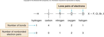 Bonding capacity and lone pairs