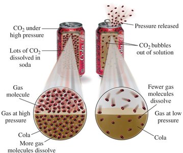 Effect of pressure on solubility of gases