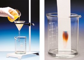Filtration and chromatography
