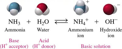 Brønsted–Lowry acid-base reaction with NH3 and water