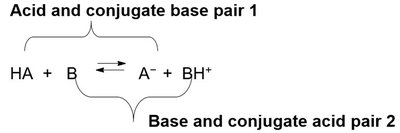 General conjugate acid-base pairs