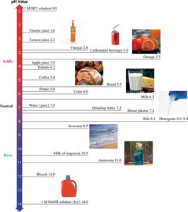 pH scale with common substances