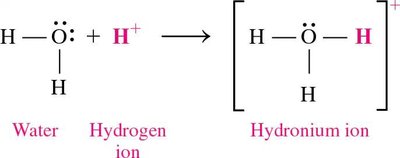 Hydronium ion formation