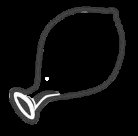 Boiling water: physical change