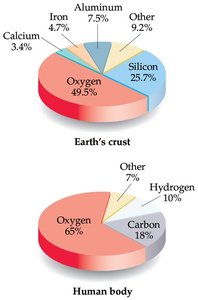 Pie charts showing elemental composition of Earth's crust and human body
