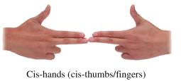 Cis-hands model