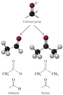 Aldehyde and ketone structures