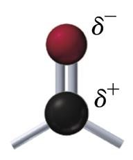 Carbonyl group polarity