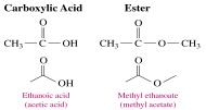 Carboxylic acid and ester structures
