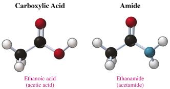 Carboxylic acid and amide structures
