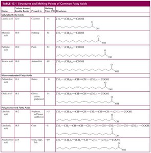 Table of common fatty acids: structures, melting points, and sources