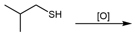 Isobutyl thiol oxidation