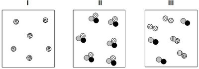 Particle diagrams for pure substances and mixtures