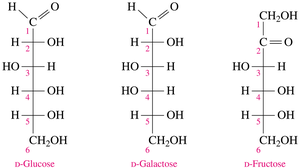 Fischer projection of D-galactose