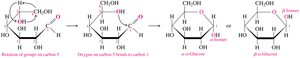 Formation of Haworth structure and alpha/beta isomers of D-glucose