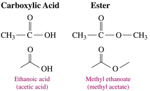 Comparison of carboxylic acid and ester structures