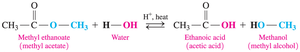 Acid hydrolysis of methyl ethanoate (methyl acetate)