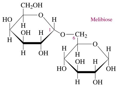 Melibiose structure