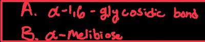 Handwritten answer: α-1,6-glycosidic bond, α-melibiose