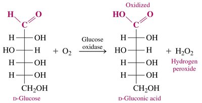 Glucose oxidase reaction