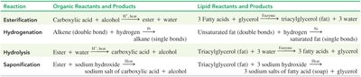 Summary of organic and lipid reactions