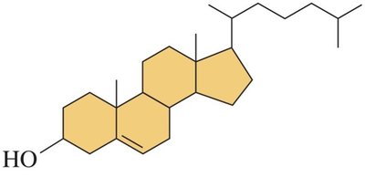 Cholesterol structure