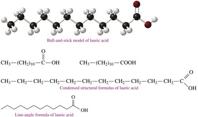 Lauric acid structural representations