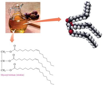 Glyceryl trioleate (triolein) structure