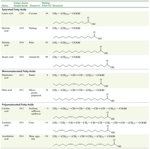 Table of saturated, monounsaturated, and polyunsaturated fatty acids