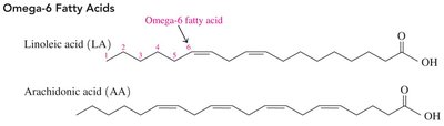 Omega-6 fatty acids