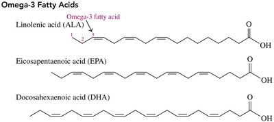 Omega-3 fatty acids