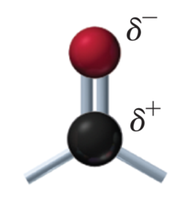 Carbonyl group polarity